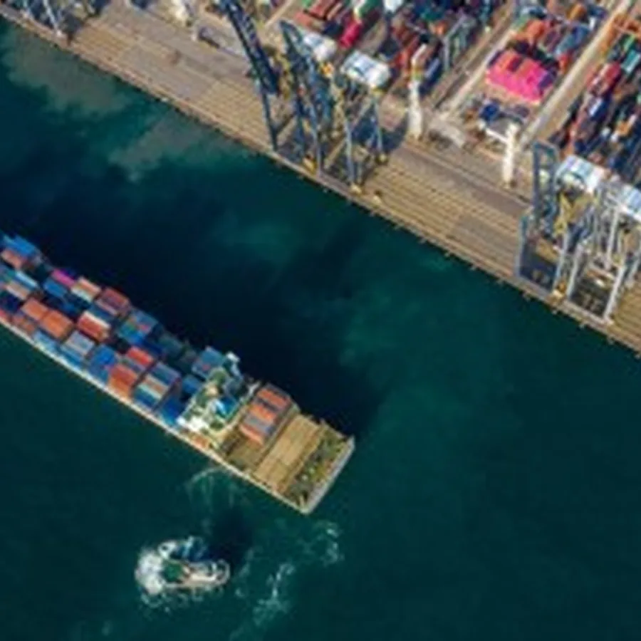 Port cranes and vessel terminal